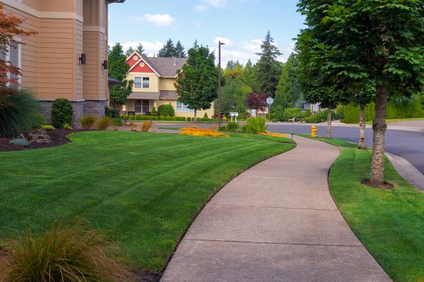 Cost of Sidewalk Patching in High Point